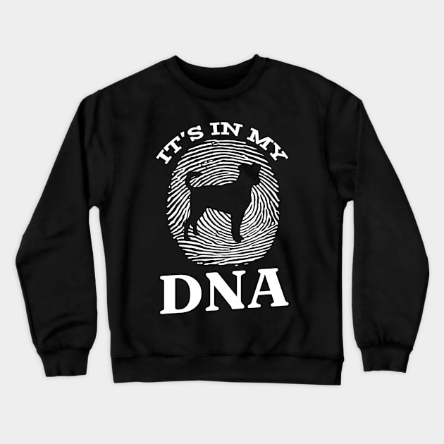 Danish Swedish Farmdog It`s In My DNA Crewneck Sweatshirt by Shirtjaeger